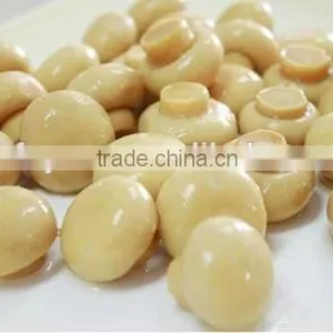 Canned Whole Mushroom thumbnail-2