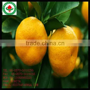 Mandarin Orange thumbnail-1