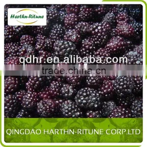 Frozen Blackberry Wholesale thumbnail-2