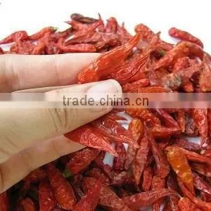 RED CHILLI FROM VIETNAM thumbnail-1
