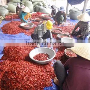Fresh Red Chili (0084948425455 VIBER, WHATSAPP/SKYPE: VISIMEX05) thumbnail-3