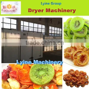 Lyine Commerial Fruit Potato Chips Dryer Machine thumbnail-1