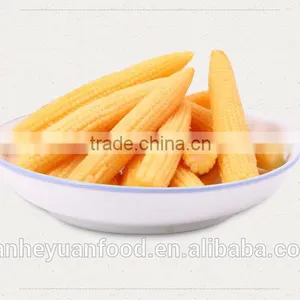 400g Good Quality Canned Baby Corn thumbnail-3
