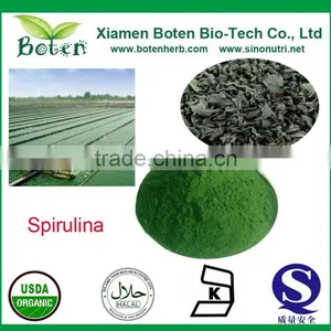 Spirulina Powder thumbnail-1