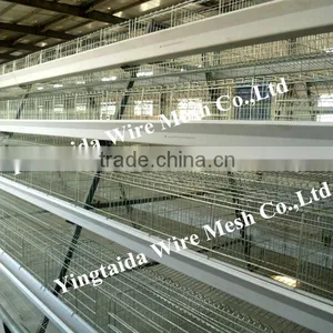 Automatic Chicke Cage Layer for Poultry Equipment in Chiken Farm thumbnail-1