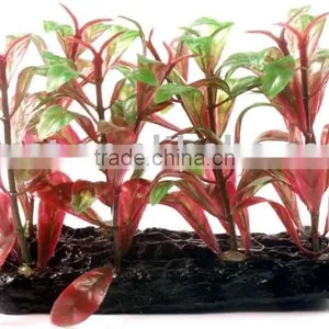 Plastic Float Grass thumbnail-1