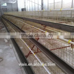 Chicken Adult Cage on Sale. thumbnail-2