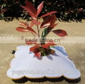 Small Colorful Greenhouse Flower Pot Holder Cover GEO Fabric Manufacturer thumbnail-3