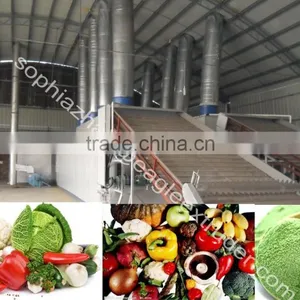 Stainless Steel Dryer for Fruit Powder/vegetable Powder thumbnail-1