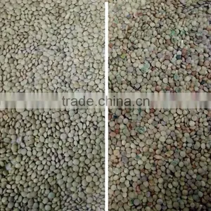 Excellent Quality CCD Bean Color Sorter thumbnail-4