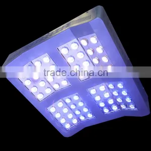 2016 MarsHydro Cree 256 Indoor Grow Light Programme LED Indoor Growing Light 1280W Greenhouse LED Grow Light COB Wholesale thumbnail-5