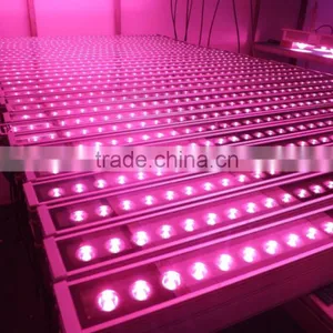 Full Spectrum IP65 36W LED Grow Bar Light for Tomatoes in Holland thumbnail-1