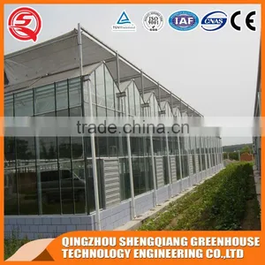 Large Glass Agricultural Greenhouses Indoor Glass Greenhouse Used thumbnail-6