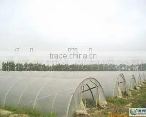Good Promotion Tunnel Greenhouse Film for Vegetables and Flowers thumbnail-2