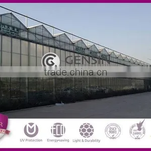 UV Coated Twinwall Hollow Polycarbonate Sheet Greenhouse thumbnail-1