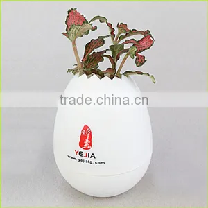 Small Plastic Plant Pots Wholesale thumbnail-1