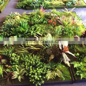 Home Garden Wedding Decoration 200cm*100cm Green Original Succulent With Moss Carpet Grass Wall E03 0501 thumbnail-6