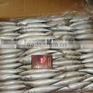 10-12 Frozen Mackerel thumbnail-1