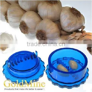 Garlic Quick thumbnail-1