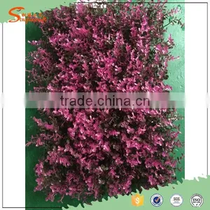 2016 International Certified Professional Leisure Venues Fire Resistant Artificial Grass Wall thumbnail-5