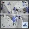 Dyed Cotton Poplin Fabric thumbnail-1