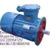 DSB Explosion Proof Motor, Flameproof Motor, Electric Motor for Coal Mine thumbnail-1