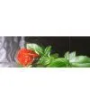 Modern Style Oil Painting of Flower-2 thumbnail-1