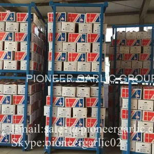 4.5cm 5cm 5.5cm Normal White Garlic Small Packing 1n 10kg Carton Box thumbnail-1