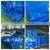 Blue Sheet #3000, Heavy Duty PE Tarp, Durable and Cheap Tarp, Japan Market, Korean Technology thumbnail-1