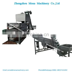 Automatic Walnut Shell Breaker Removal Cracker Shelling Pecan Nut Sheller Black Walnut Cracking Machine thumbnail-3
