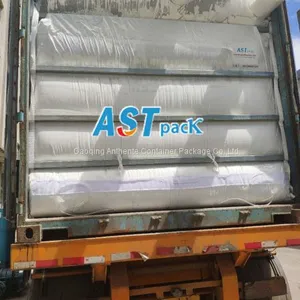20FT Bulk Container Liner With Air Bags thumbnail-2