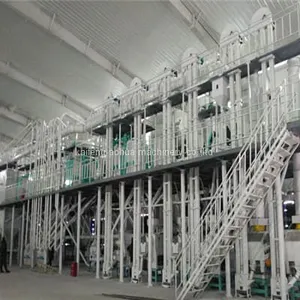 Bean Cleaning and Selection Equipment thumbnail-1