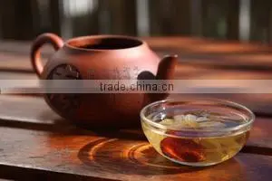 Organic Green Tea Bulk Export And Sales thumbnail-2