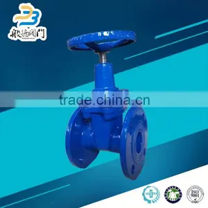 1 1 2 Cast Iron Double Disc Gate Valve thumbnail-1