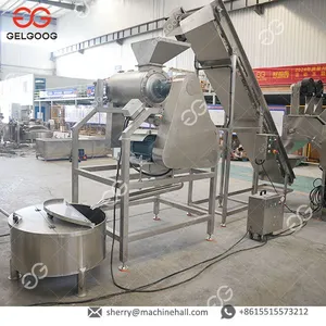 Mango Processing Line for Juice and Pulp Production Fruit Processing Machines thumbnail-4