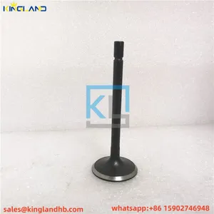 C2.2 Engine Valve Inlet Intake 308-1860 3081860 For CAT thumbnail-1