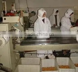 Shantou Mico Foodstuff Co., Ltd. company overview - view 3 thumbnail