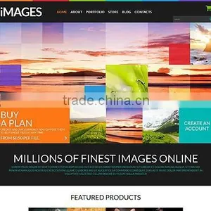 Web Development thumbnail-1