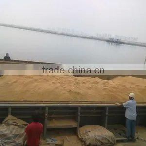 Corn Gluten Cattle Feed thumbnail-5