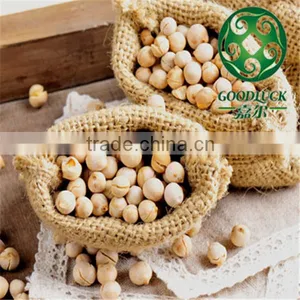 Wholesale China Chickpeas of Xinjing Origin(2013 Crop) Quality Choice thumbnail-2