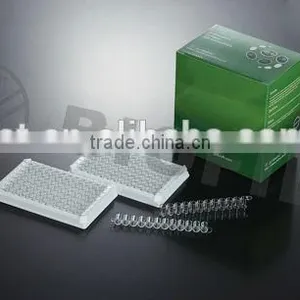 48 Well Elisa Plate thumbnail-1