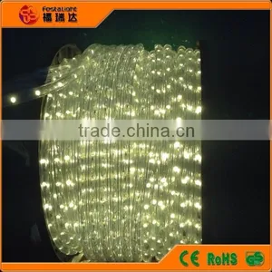 Christmas Lights of Steady LED Rope Lights( 2wires) for Holiday thumbnail-4