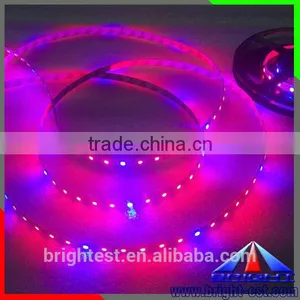 Led Grow Lighting,Led Grow Light Strip,Led Grow Lighting thumbnail-3