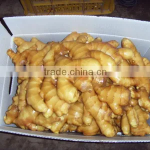China Fresh Ginger for Sale thumbnail-2