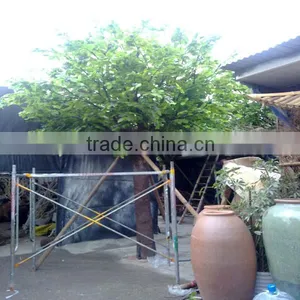 Detachable and Assembled Chestnut Tree 100% Handmade thumbnail-1