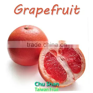 Fresh Grapefruit Best Price thumbnail-2