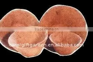 Coco Liner for Hanging Baskets With Flat Bottom thumbnail-1