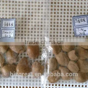 Supply With Chinese Bulk Spicy Flavored Roasted Apricot Kernels in Shell thumbnail-1
