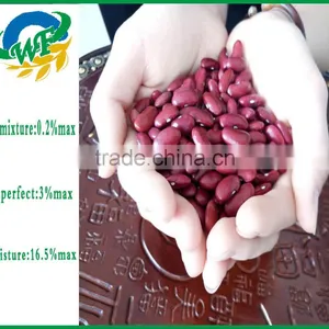 New Crop Dark Red Kidney Beans thumbnail-4