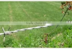 Barbed Wire thumbnail-4